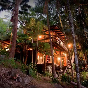 Currumbin Rainforest Treehouse , Currumbin Valley Australia